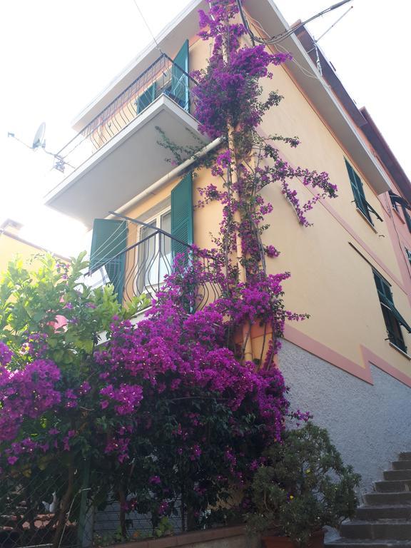 Da Rita Appartement San Terenzo Buitenkant foto